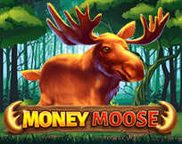 Money Moose